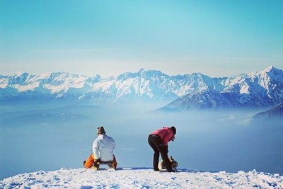 People sitting on toboggans on a mountain